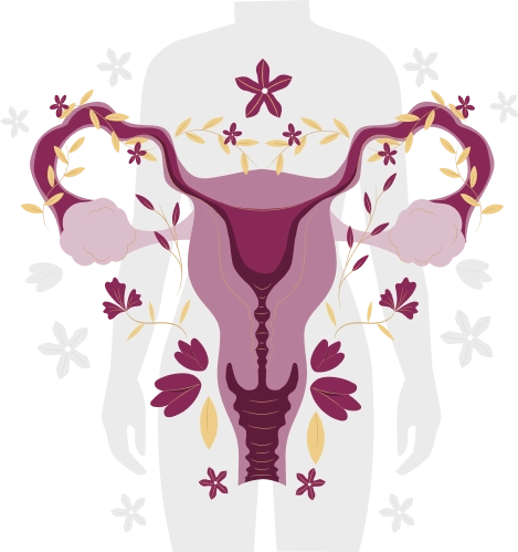 Consultas ginecologicas de rotina