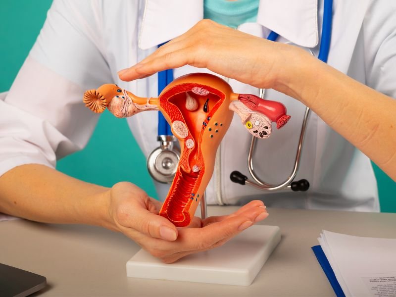 Vaginose Bacteriana em Florianopolis Entendendo Causas Sintomas e Tratamentos